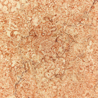 Rosa Tea Persiano – Testi Group